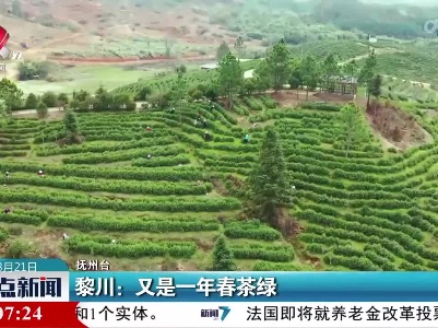 整点新闻20230321 12:00
