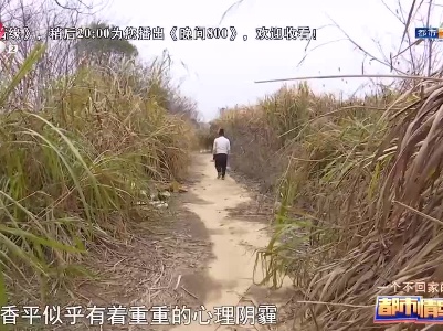 都市情缘20230325 一个不回家的人