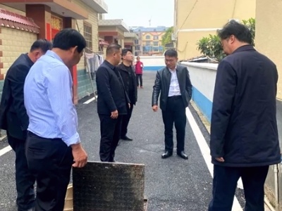 吉安永新：彭燕清到埠前镇指导新农村建设和农村“厕所革命”工作