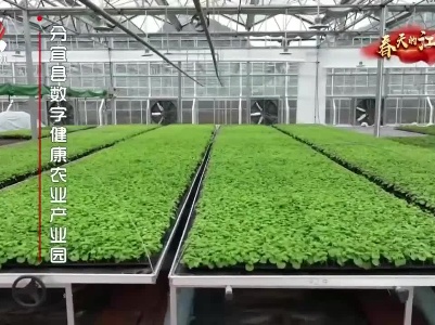 春天的江西
