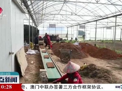 吉安县：机械化播种育秧 按下春耕生产“加速键”