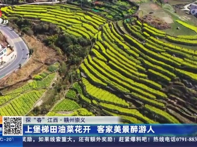 都市现场20230312