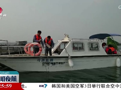 中华白海豚再现广西防城港海域