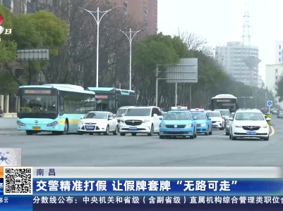南昌：交警精准打假 让假牌套牌“无路可走”