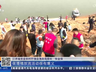 南昌：公益放流 保护母亲河
