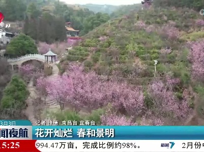 花开灿烂 春和景明