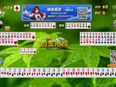 谁是赢家20230314
