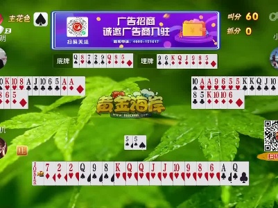谁是赢家20230317