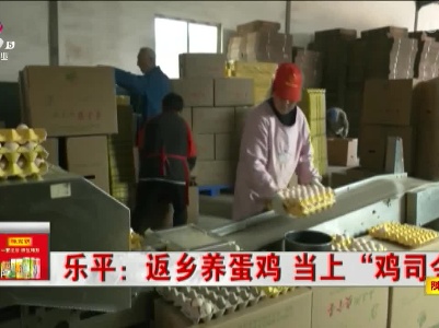 乐平：返乡养蛋鸡 当上“鸡司令”