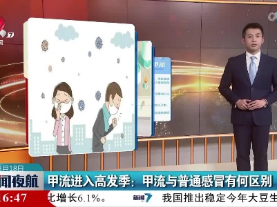 甲流进入高发季：甲流与普通感冒有何区别
