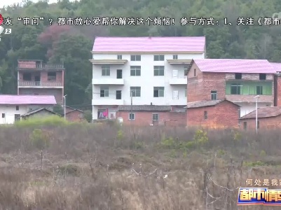 都市情缘20230314 何处是我家
