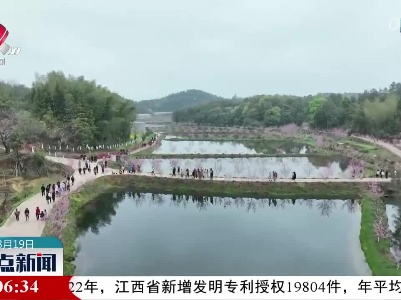 崇仁：沉浸古风漫游 赏十里桃花盛景