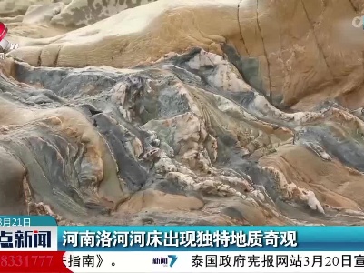 河南洛河河床出现独特地质奇观