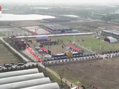 南昌县首届风筝节举行