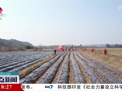 整点新闻20230322 14:00