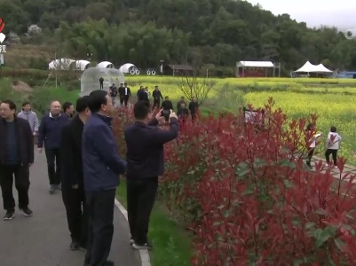 为生态产业发展和乡村振兴出好“金点子”