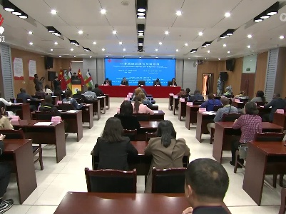 中非政府高级官员研修班开班