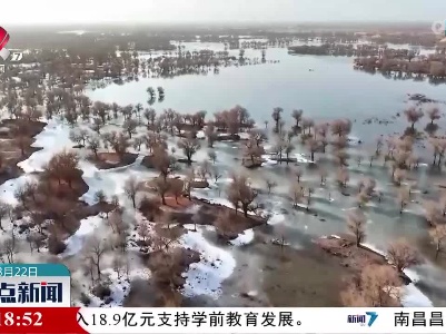 新疆罗布淖尔国家湿地公园：冰消雪融“绘”万物