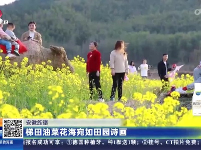 安徽旌德：梯田油菜花海宛如田园诗画