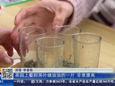 赣州会昌：“开茶节” 引得八方游客来