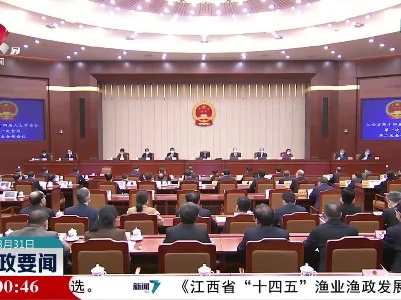 新闻夜航20230331