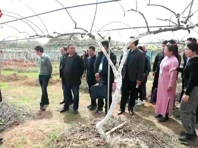 培育“领头雁”“田秀才” 助力乡村振兴