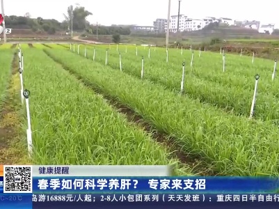 【健康提醒】春季如何科学养肝？专家来支招