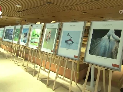 我省启动第42届“爱鸟周”宣传活动