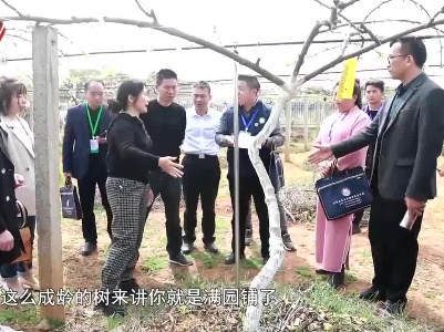 社会传真20230328 培育“新农人”  振兴“新乡村”