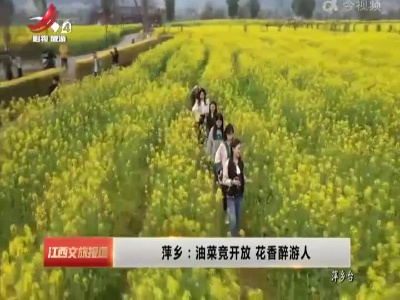 萍乡：油菜竞开放 花香醉游人