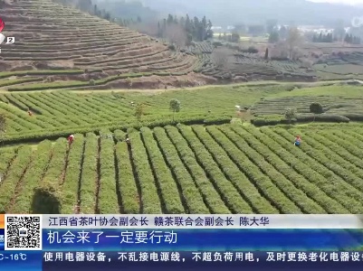 江西：赣茶产业 需加快步伐争取商机