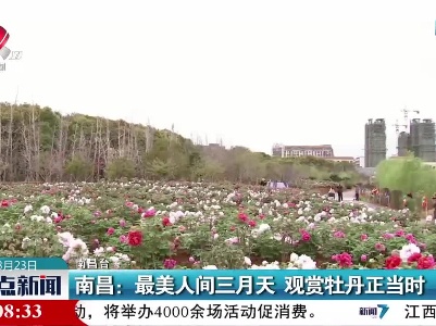 整点新闻20230323 16:00