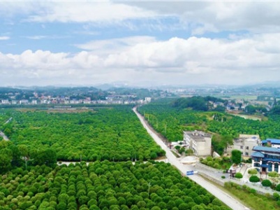 吉安市加速乡村产业转型升级
