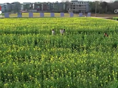 赣州：花开引来湾区客