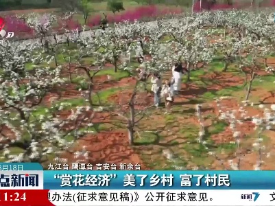 “赏花经济”美了乡村 富了村民