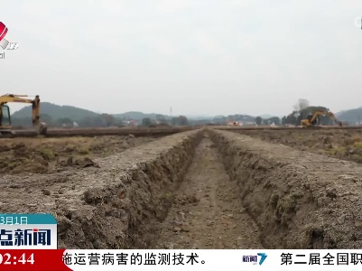 整点新闻20230301 12:00