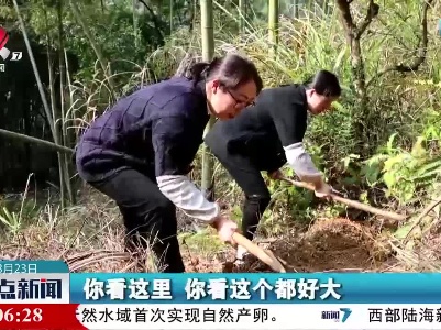 春天的味道：腊肉鲜笋包圆馅 春日里的一口“鲜”