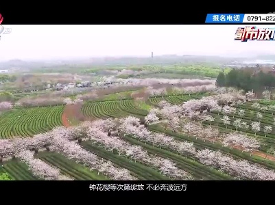 都市放心游20230305