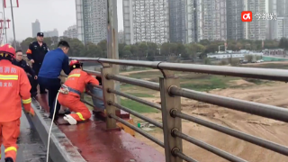 生死一刻 消防与民警一个动作救下跳桥女子