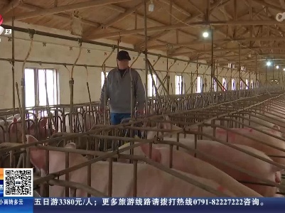 江西：春节消费旺季过后 猪肉价格有所回落