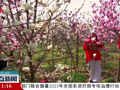 “赏花经济”美了乡村 富了村民