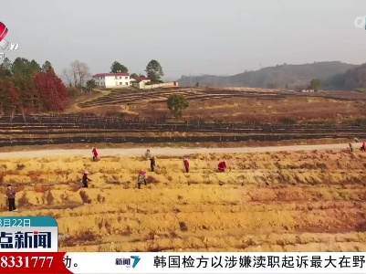 整点新闻20230322 16:00