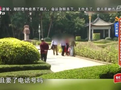 反诈提醒——能治病的“牛初乳”是馅饼还是陷阱？