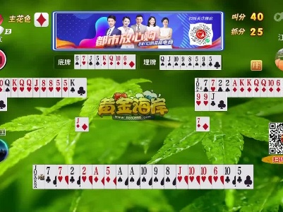 谁是赢家20230308