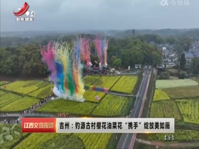 吉州：钓源古村樱花油菜花“携手”绽放美如画