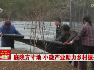 庭院方寸地 小微产业助力乡村振兴