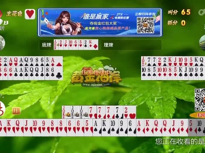 谁是赢家20230307