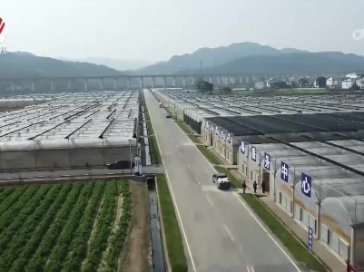 江西陆续开始早稻育秧工作