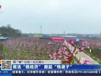 【探“春”江西】九江湖口：做活“桃经济” 鼓起“钱袋子”