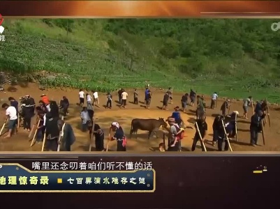经典传奇20230313 地理惊奇录·七百弄滴水难存之谜